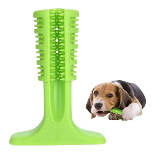 Mordedor e Escova de Dentes para Cães