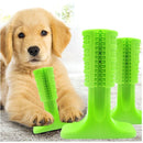 Mordedor e Escova de Dentes para Cães