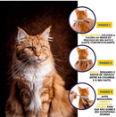 Coleira Anti Pulgas e Carrapatos para Cães e Gatos