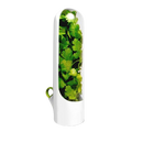 Recipiente Armazenador de Temperos