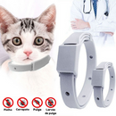 Coleira Anti Pulgas e Carrapatos para Cães e Gatos