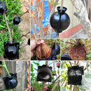 Kit Caixas de Enraizamento de Plantas