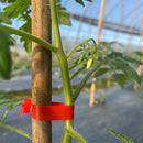 Máquina de Amarrar Plantas