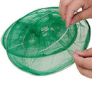 Armadilha de Moscas com Instalação Fácil