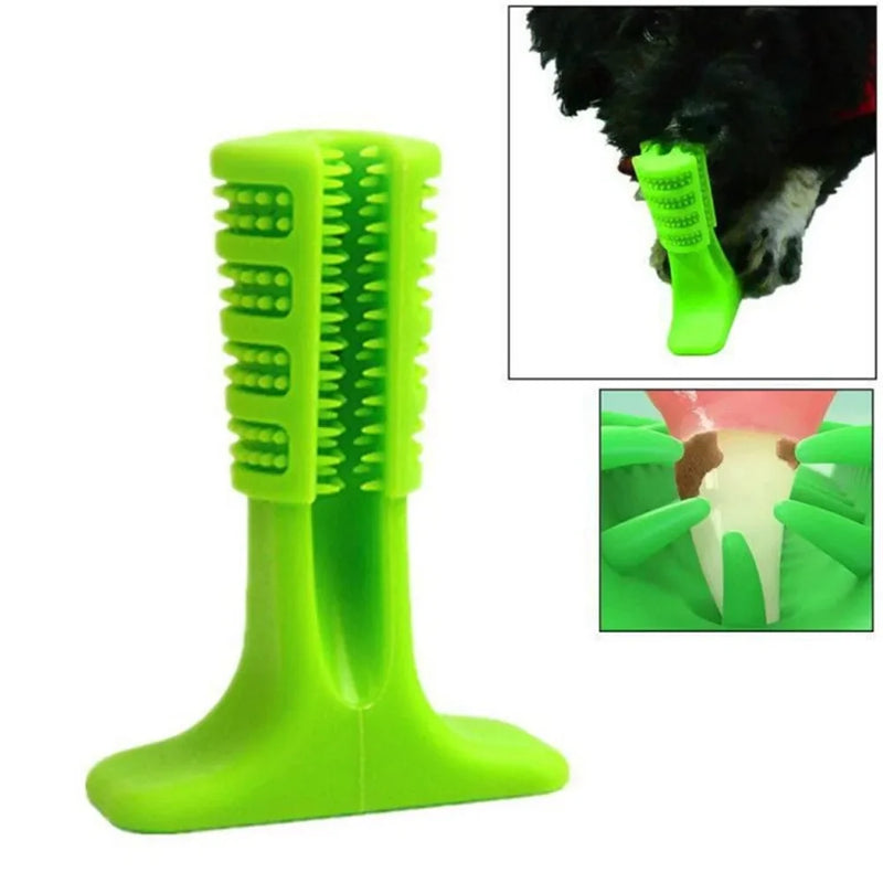 Mordedor e Escova de Dentes para Cães