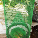 Armadilha de Moscas com Instalação Fácil