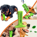 Mordedor e Escova de Dentes para Cães