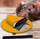 Armadilha de Rato Reutilizável