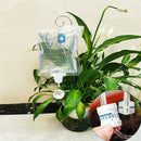 Regador Automático Ajustável para Plantas