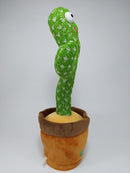 Cacto Falante Dançarino