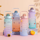 Garrafa de 2 Litros + Figurinhas